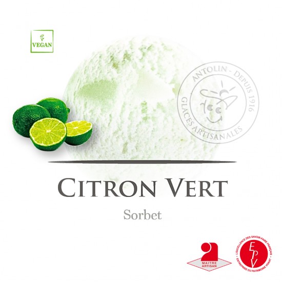 Bac 2.5L - Sorbet Citron Vert