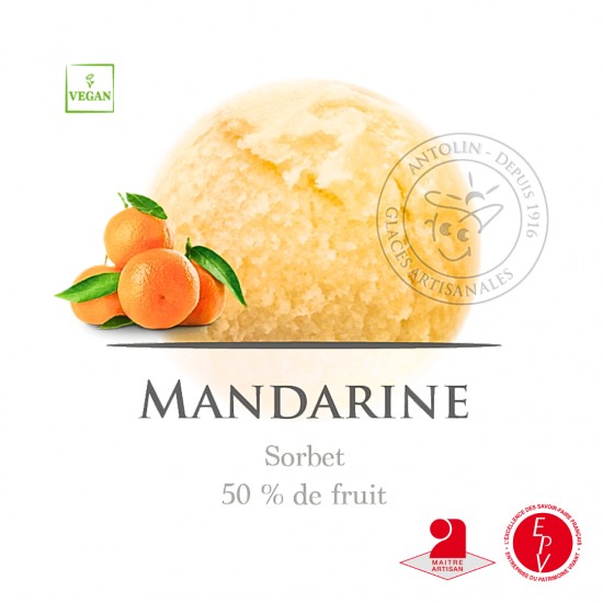 Bac 2.5L - Sorbet Mandarine