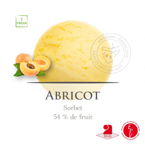 Bac 2.5L - Sorbet Abricot