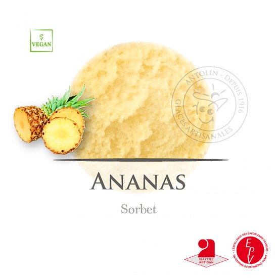 Bac 2.5L - Sorbet Ananas