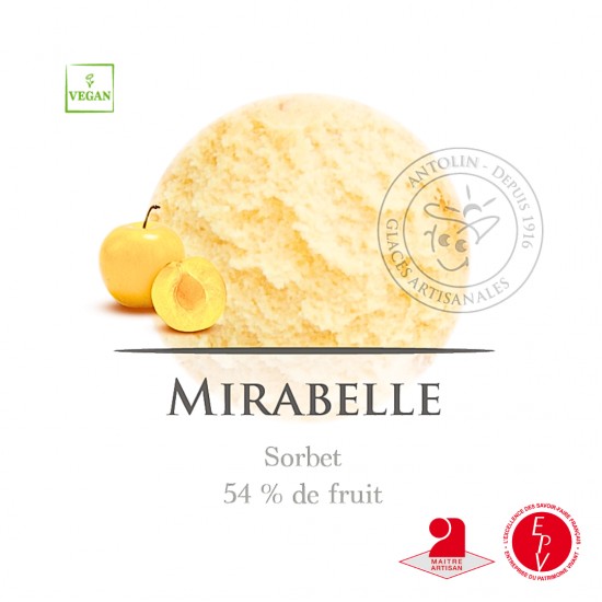 Bac 2.5L - Sorbet Mirabelle