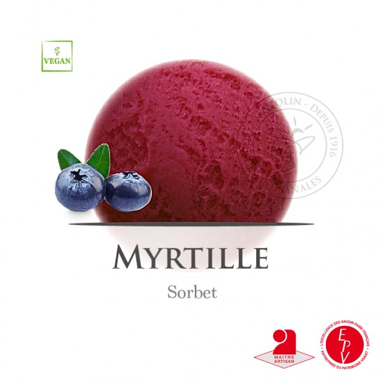 Bac 2.5L - Sorbet Myrtille