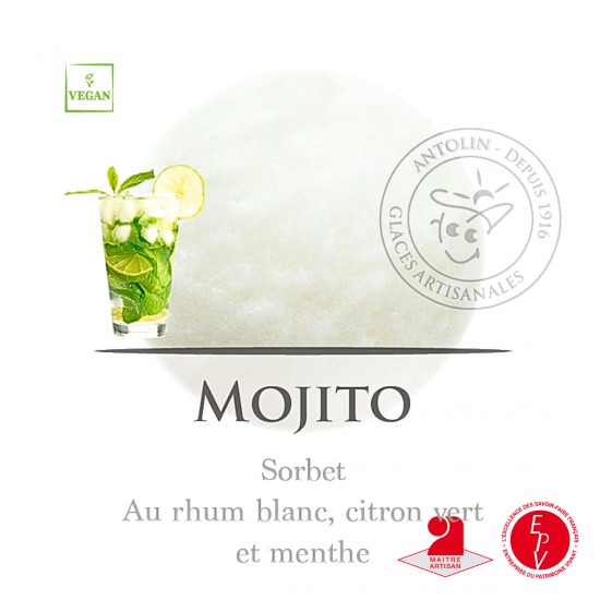 Bac 1L - Sorbet Mojito