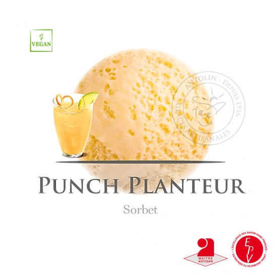 Bac 2.5L - Sorbet Punch Planteur