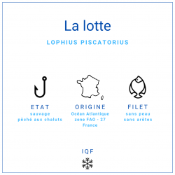 Filet de lotte sans peau et sans arêtes