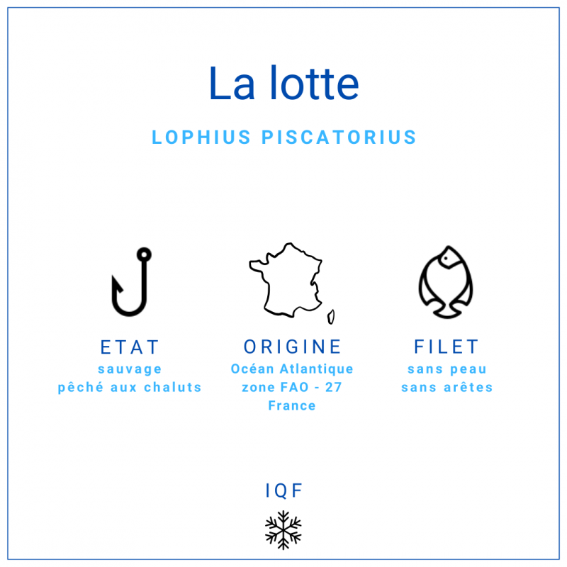 Filet de lotte sans peau et sans arêtes