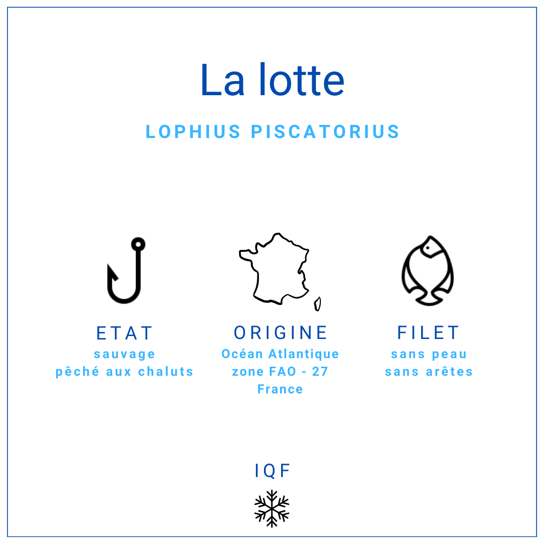 Filet de lotte sans peau et sans arêtes