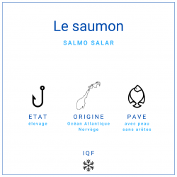 Pavé de saumon Salmo Salar surgelé IQF de Norvège