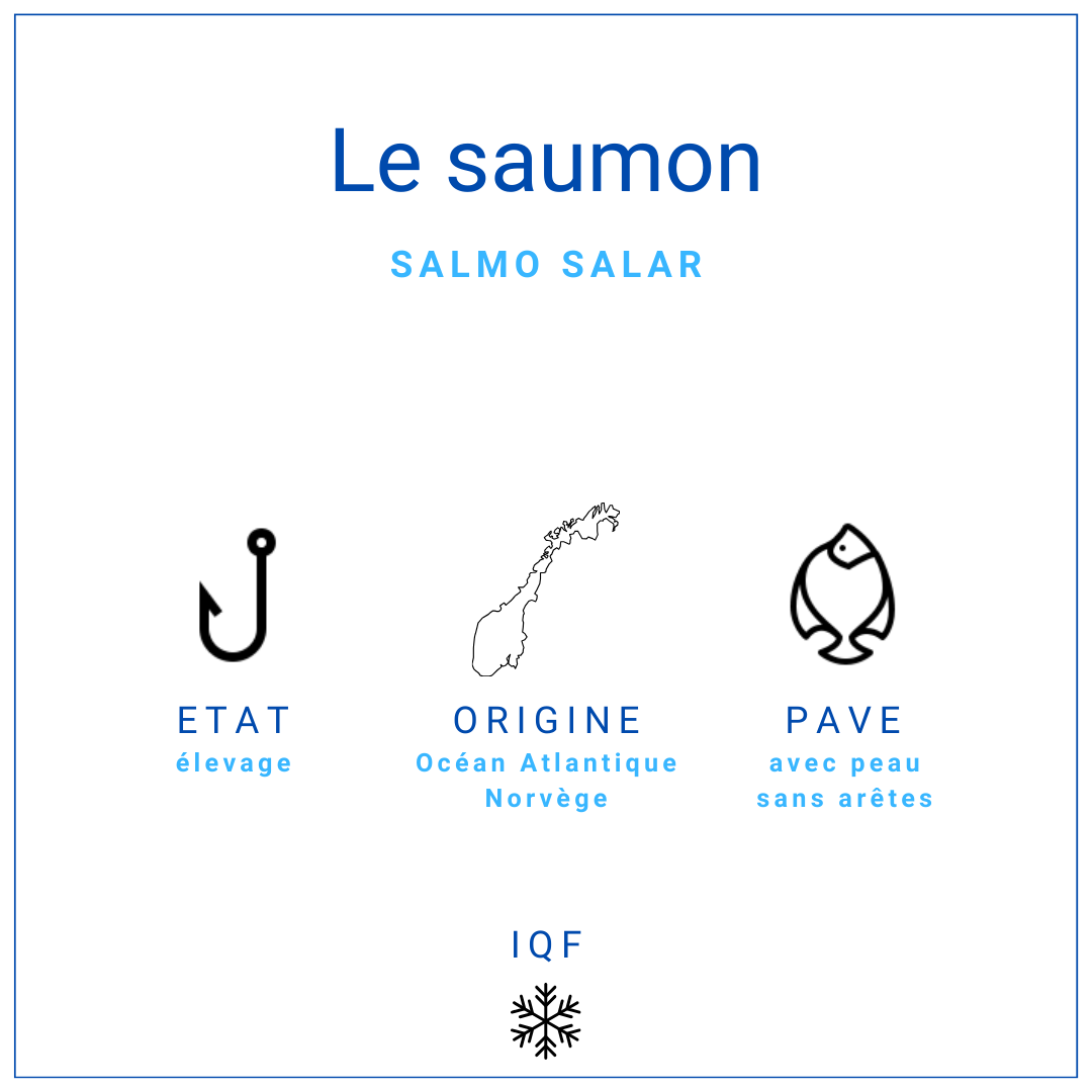 Pavé de saumon Salmo Salar surgelé IQF de Norvège