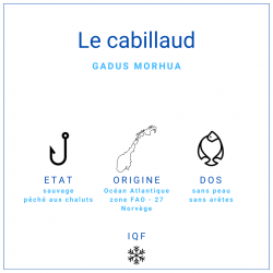 Dos de cabillaud nature sans peau surgelé IQF