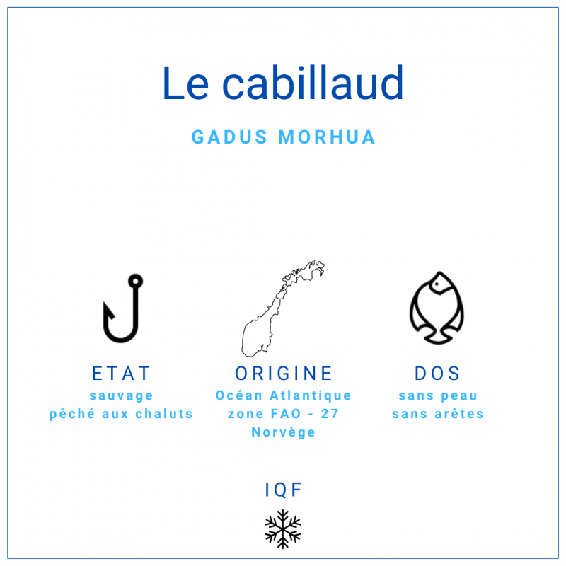 Dos de cabillaud nature sans peau surgelé IQF
