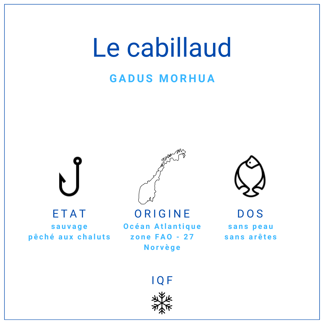 Dos de cabillaud nature sans peau surgelé IQF