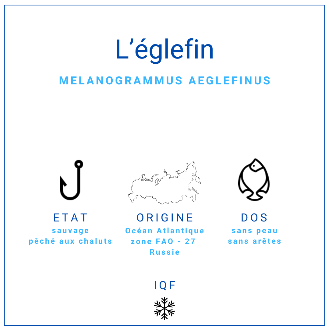 Dos d'églefin MSC sans peau et sans arêtes 120gr