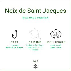 Noix de St Jacques de St pierre et Miquelon