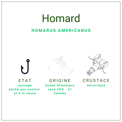 Queues et pinces de homard, décortiquées et surgelées