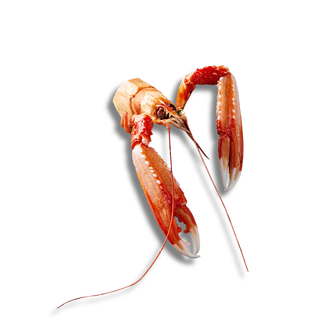 Têtes et pattes de langoustine crues du Danemark Têtes et pattes de langoustine crues du Danemark