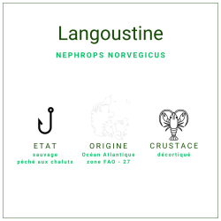 Têtes et pattes de langoustine crues du Danemark