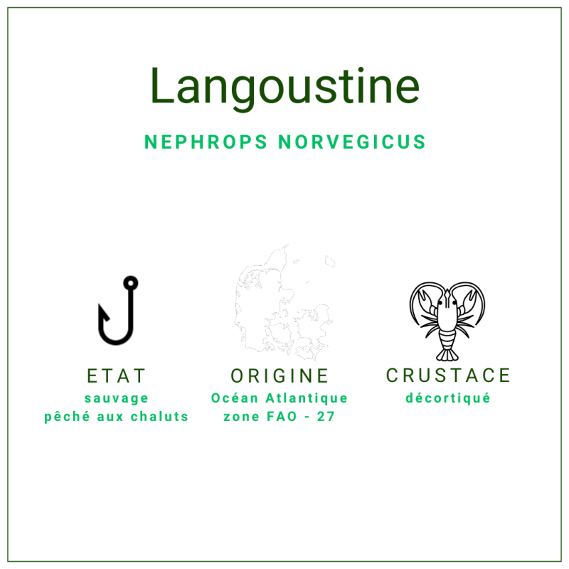 Têtes et pattes de langoustine crues du Danemark
