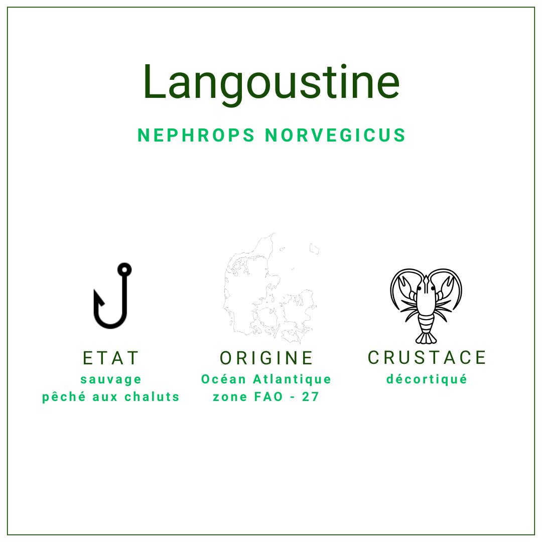 Têtes et pattes de langoustine crues du Danemark