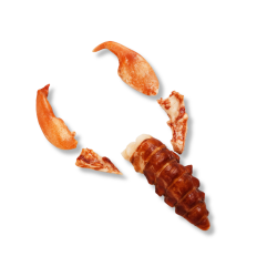 Queues et pinces de homard, décortiquées et surgelées