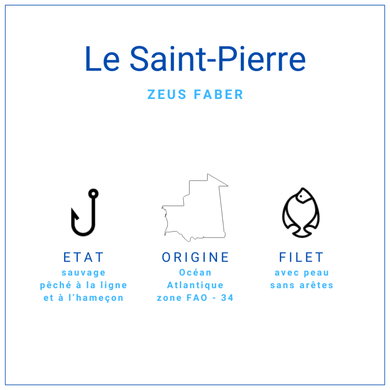 Filet de Saint-Pierre avec peau, pièce de 300 à 500gr
