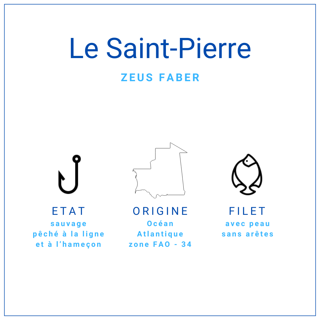 Filet de Saint-Pierre avec peau, pièce de 300 à 500gr