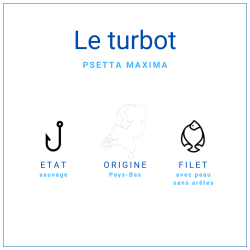 Pavé de turbot avec peau, pièce de 170 - 230gr