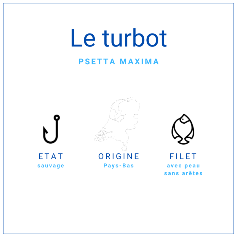 Pavé de turbot avec peau, pièce de 170 - 230gr