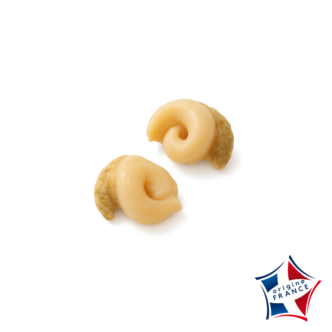 Chair de bulot cuite et surgelée IQF 1kg