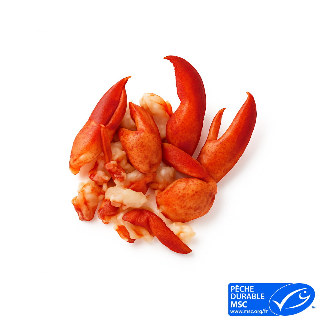 Chair de homard cuite et pêchée avec casiers