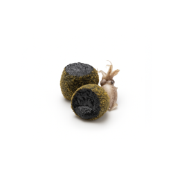 Mini Croquetas à l'encre de Seiche surgelés