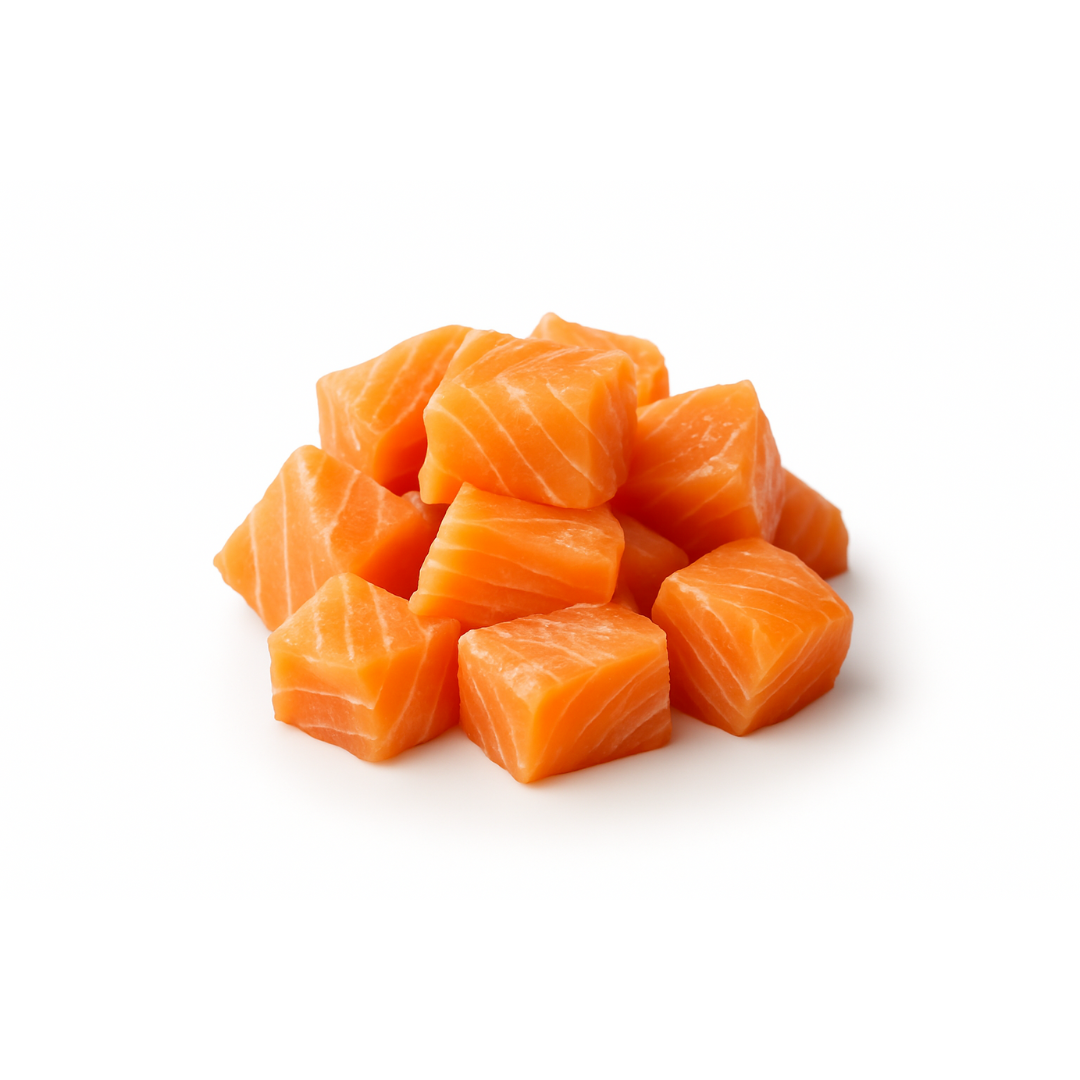 Cubes surgelés de saumon cru sous atmosphère