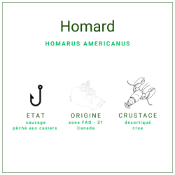 Chair de homard canadien crue 907gr