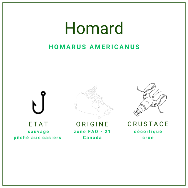 Chair de homard canadien crue 907gr