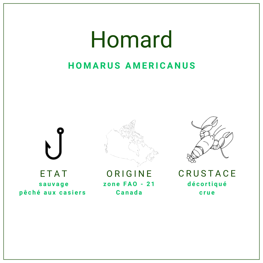 Chair de homard canadien crue 907gr