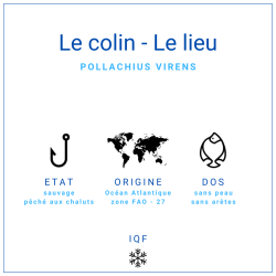 Dos de colin Lieu noir sans peau 150gr