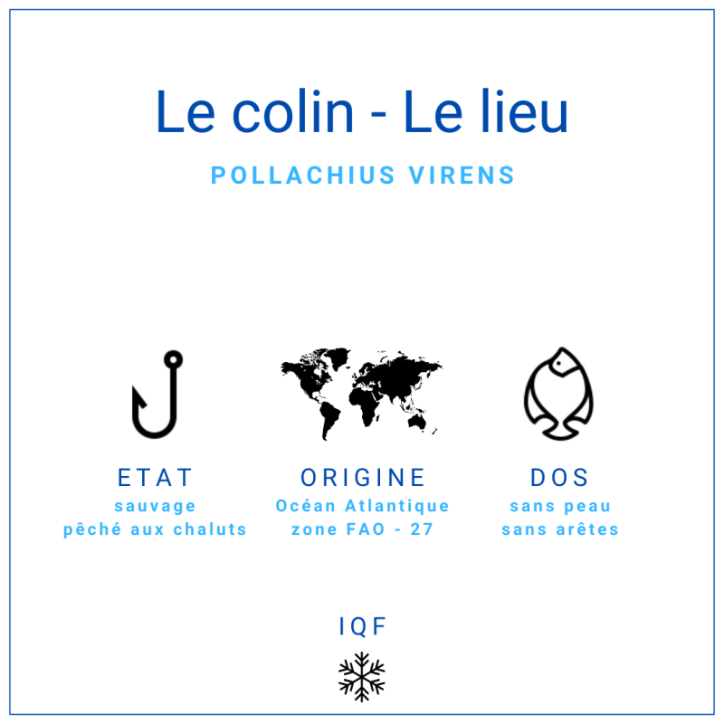 Dos de colin Lieu noir sans peau 150gr