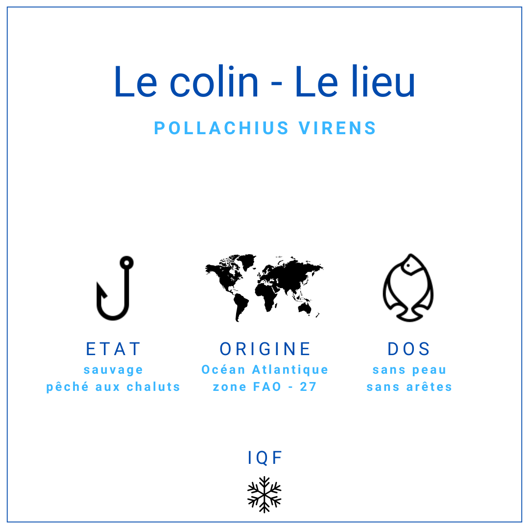Dos de colin Lieu noir sans peau 150gr