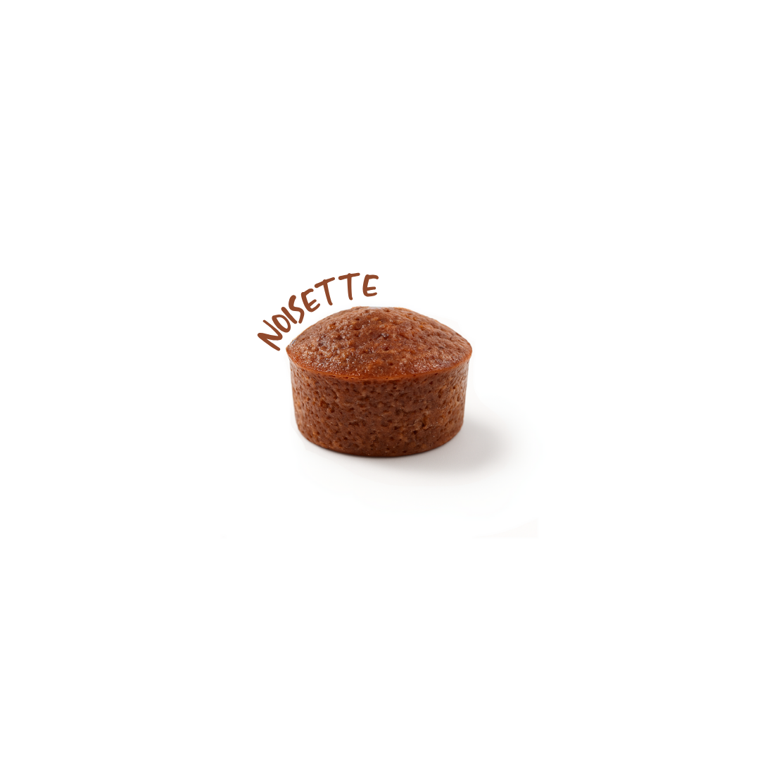 Petit four noisette, bouchon de 10gr Petit four noisette, bouchon de 10gr