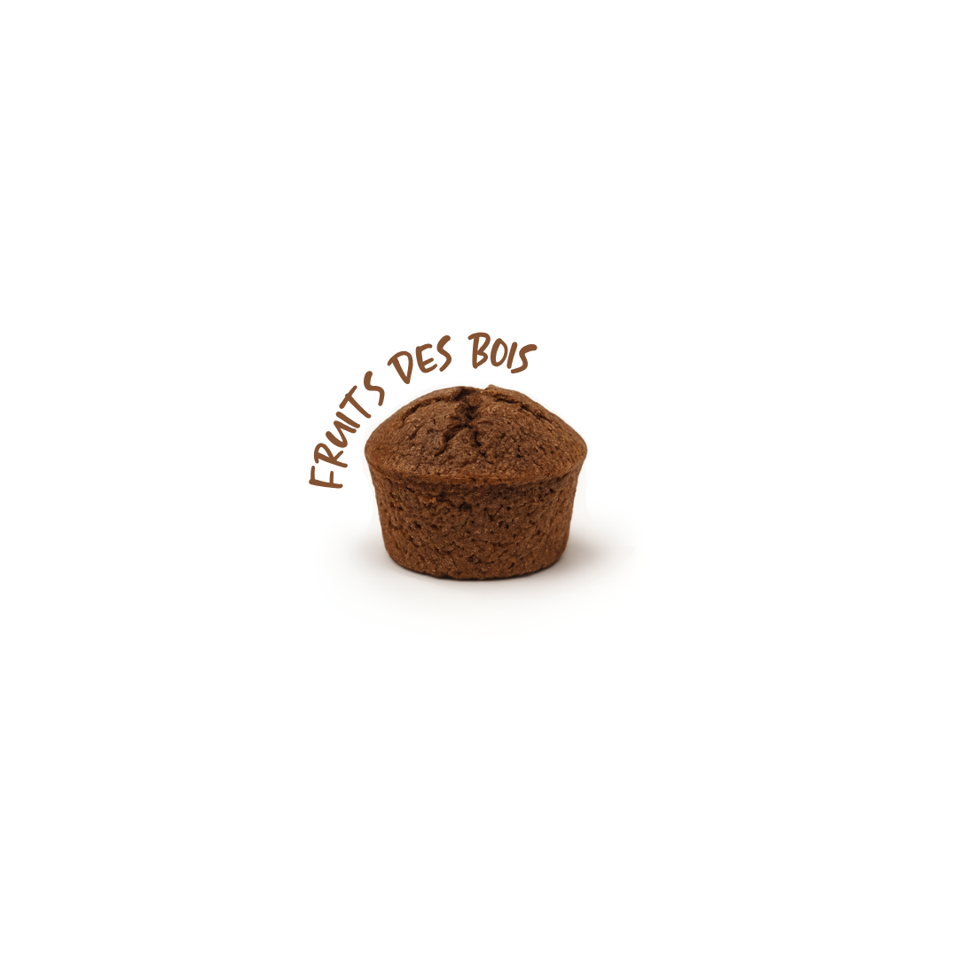 Mini bouchon salé aux noix et fruits des bois Mini bouchon salé aux noix et fruits des bois