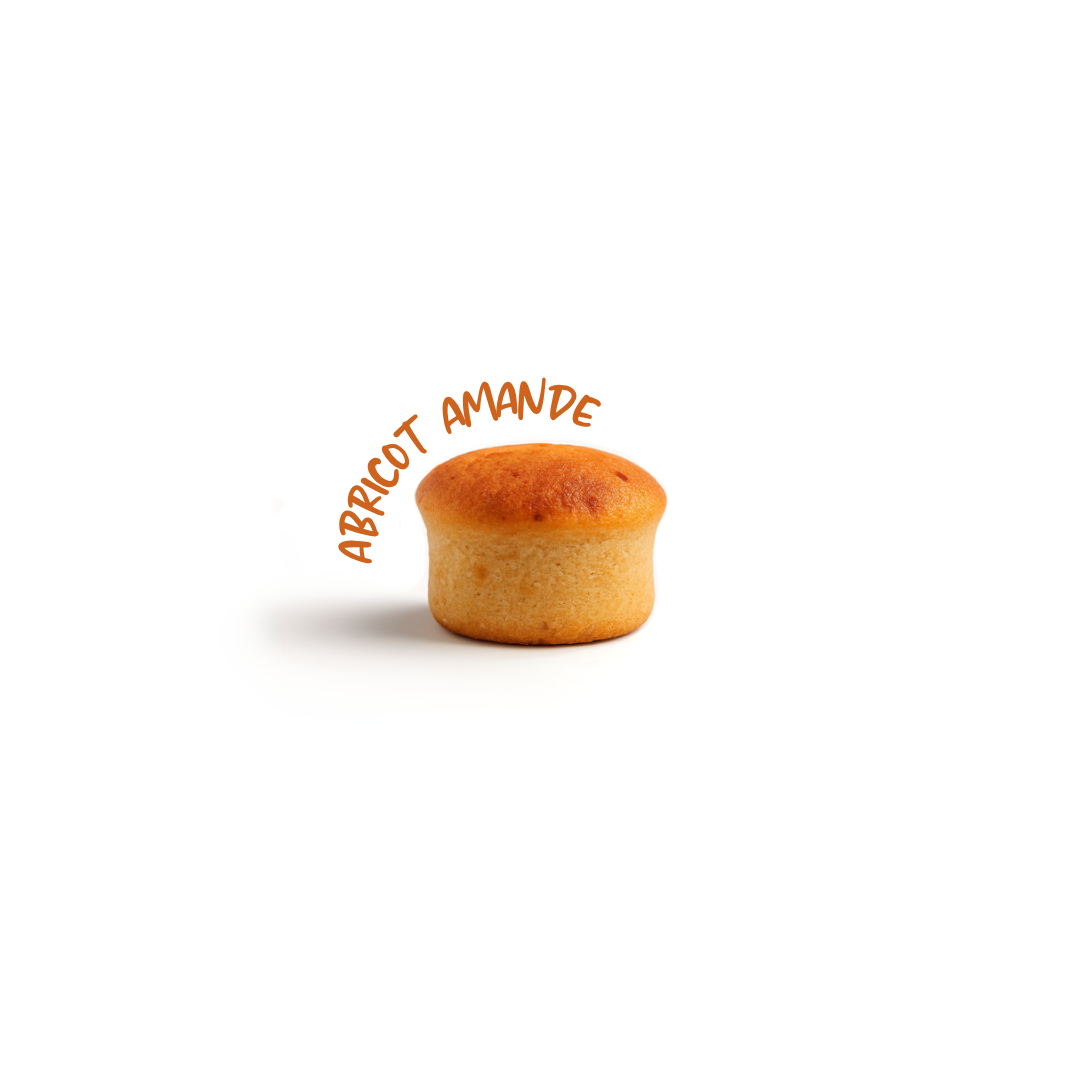 Petits fours sucrés : bouchon abricots et amandes amères 10gr Petits fours sucrés : bouchon abricots et amandes amères 10gr