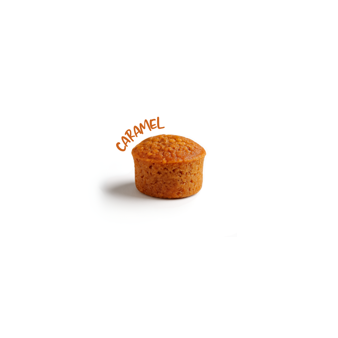Petit bouchon au caramel beurre salé 10gr Petit bouchon au caramel beurre salé 10gr