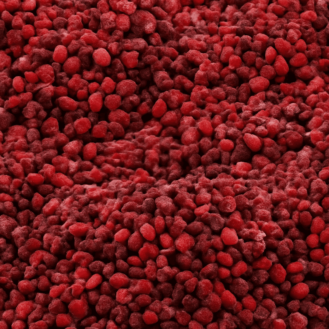 Brisure framboises Willamette surgelées IQF
