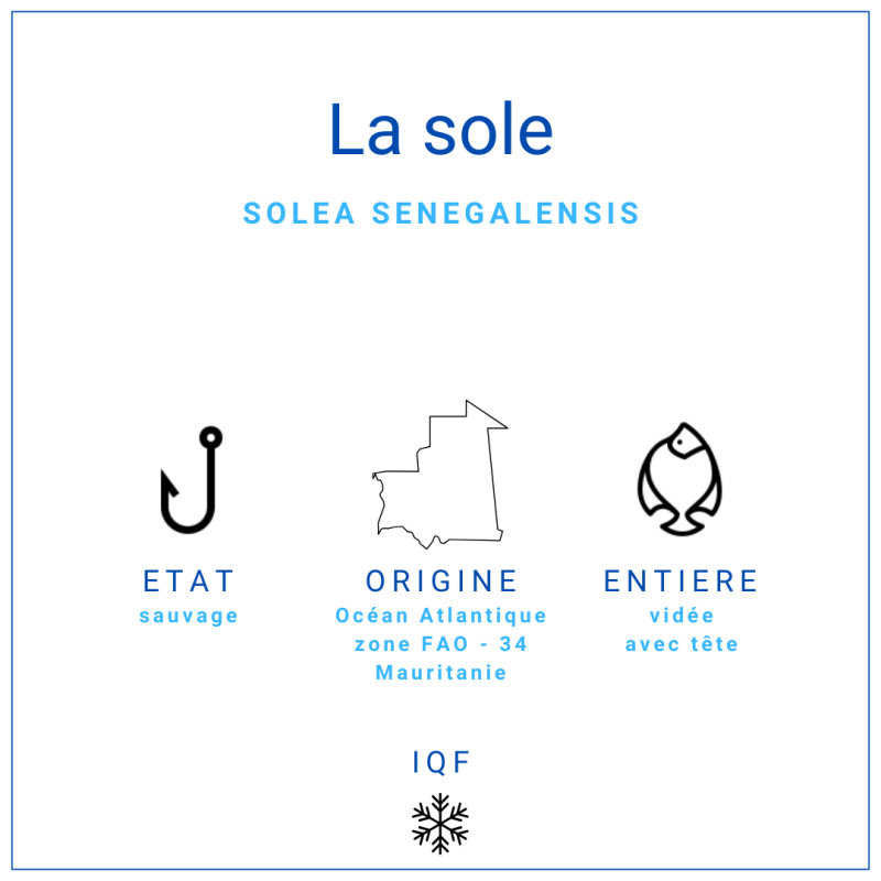 Sole de roche, entière et vidée 400/600gr