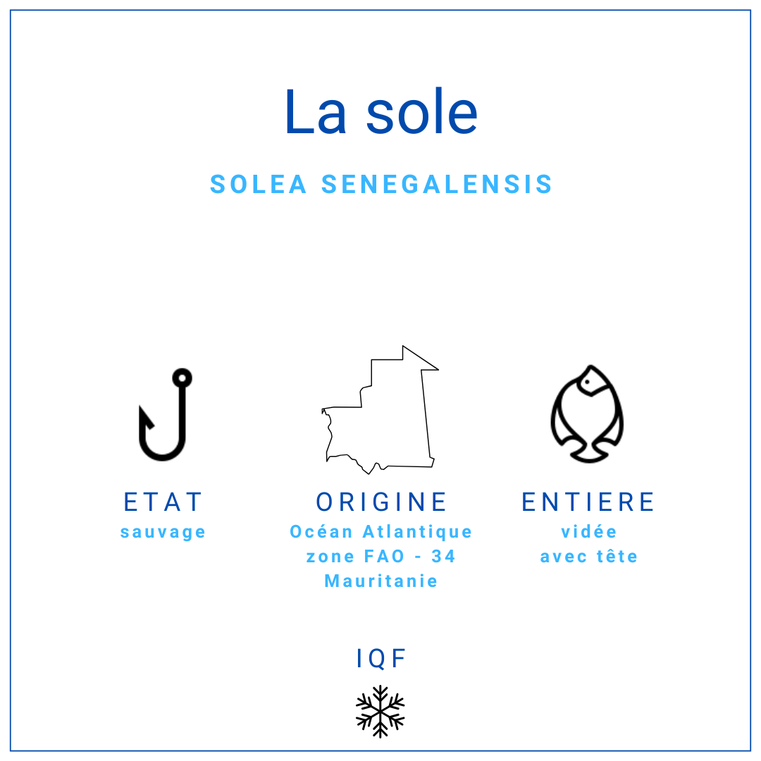 Sole de roche, entière et vidée 400/600gr