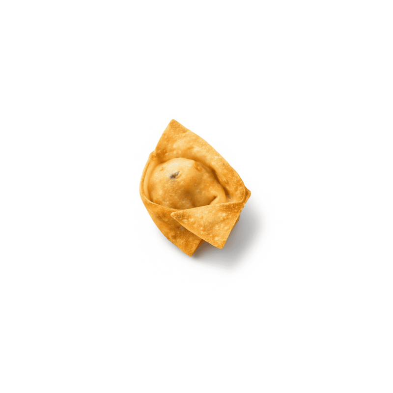 Mini bouchée de poulet wonton, pièce tapas de 15gr
