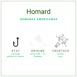 Homard Canadien entier et cuit 400/450gr