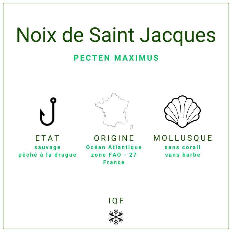Saint-Jacques sans corail, 10/20 lb origine France