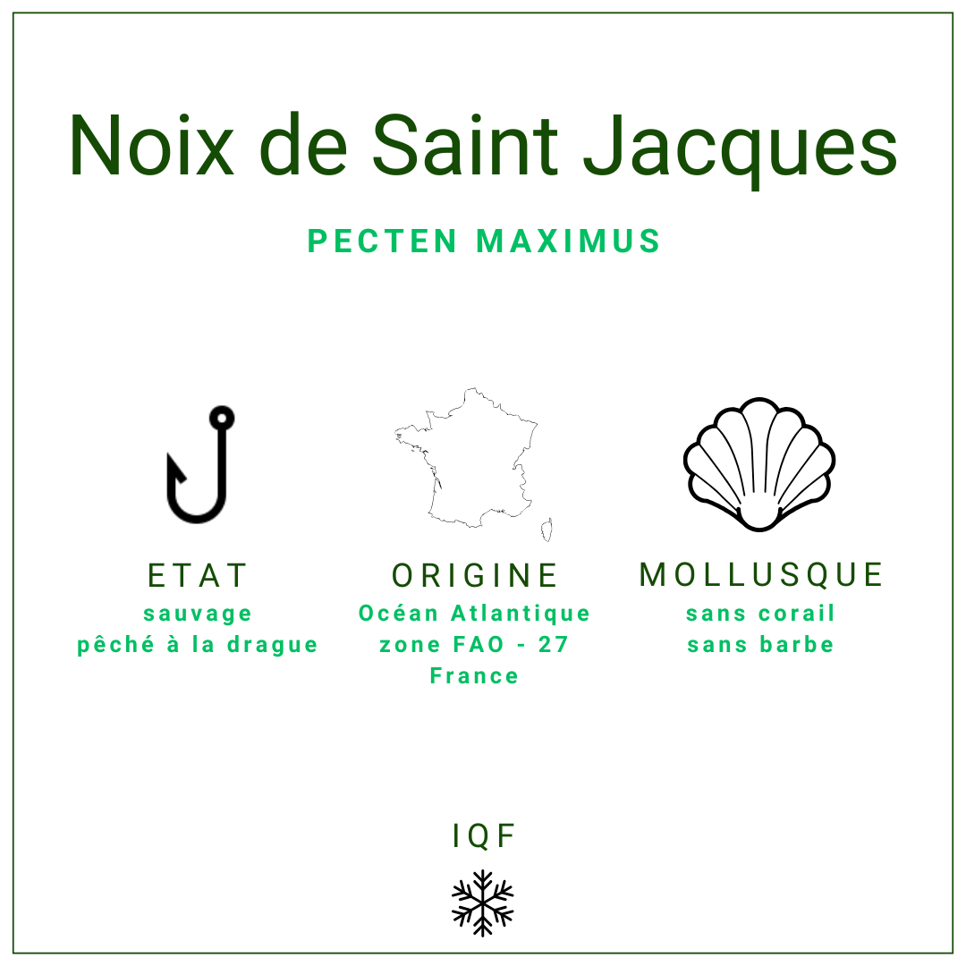 Saint-Jacques sans corail, 10/20 lb origine France