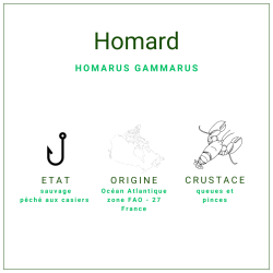 Queues et pinces de Homard décortiqués